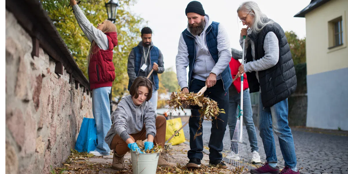 environment and conservation volunteer abroad program